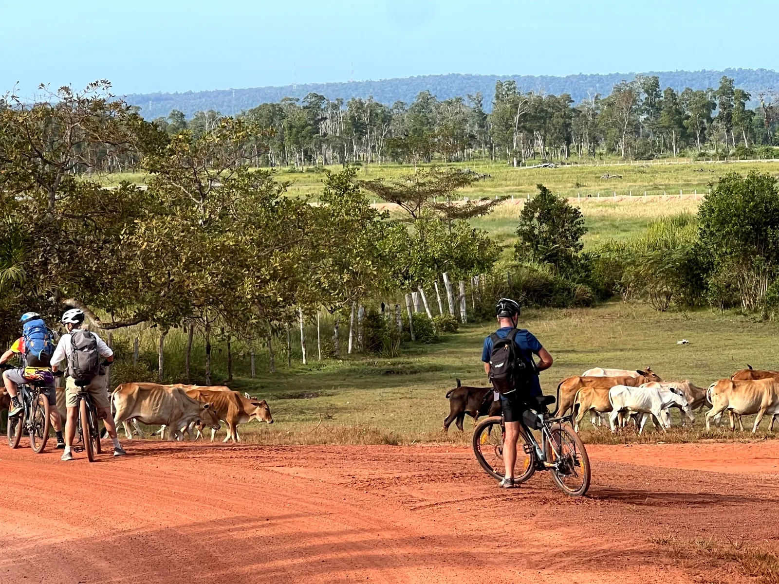 Velo Siem Reap